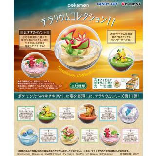 リーメント【ホビー】ポケットモンスター テラリウム