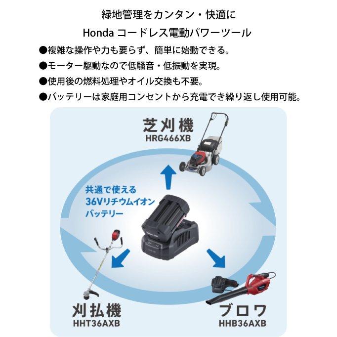 ホンダ バッテリー充電器 14.4-36V CV3680XAJM 36Vリチウムイオンバッテリー 6.0Ah 専用充電器 商品画像2：ニッチ・リッチ・キャッチKaago店