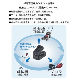 ホンダ バッテリー充電器 14.4-36V CV3680XAJM 36Vリチウムイオンバッテリー 6.0Ah 専用充電器の通販なら:  ニッチ・リッチ・キャッチKaago店 [Kaago(カーゴ)]