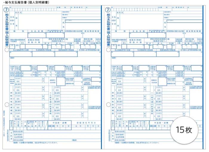 弥生 202500 令和6年分弥生ページプリンタ用源泉徴収票(30人用)：オフィス・モア Online Shop Kaago店