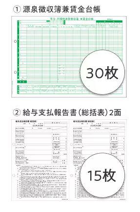 弥生 202530 賃金台帳/給与支払報告書セット30人用（令和6年版）：オフィス・モア Online Shop Kaago店