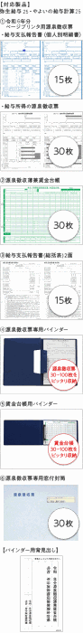 弥生 202620 令和7年分年末調整セット30人用【2025年10月23日発売開始！】