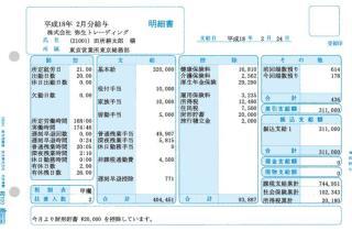 弥生 336001Z 給与明細書Z (100枚)小ロット の通販なら: オフィス