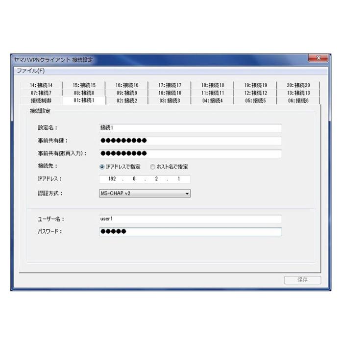 VPNクライアントソフトウェア (ソフトウェアライセンス版 1ライセンス) 商品画像1：オフィス・モア Online Shop Kaago店