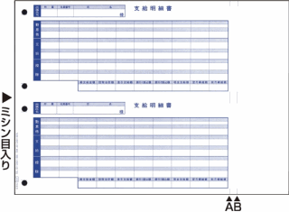 OBC H6101 単票支給明細書 〔奉行J専用〕 500枚 の通販なら: オフィス