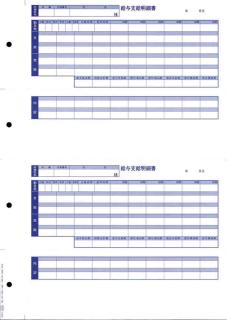 OBC 6235 単票封筒用支給明細書(内訳項目付) 300枚 の通販なら