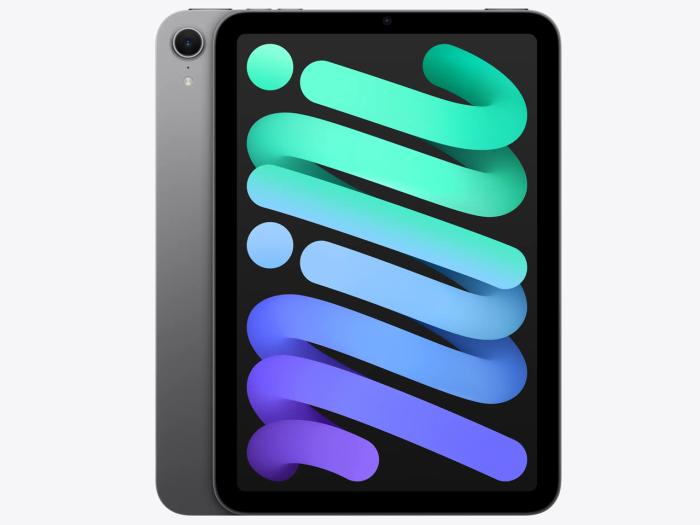 iPad mini 8.3インチ Wi-Fi 128GB 2024年秋モデル MXN63J/A [スペースグレイ]【アウトレット 状態 S】：パニカウ