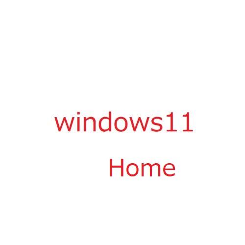 Windows 11 Home 64bit 日本語 DSP版 当店指定PCパーツバンドル 商品画像1：PC-IDEA Plus