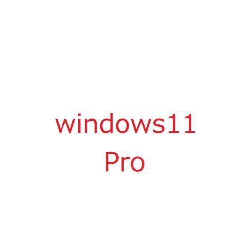 Windows 11 Pro 64bit 日本語 DSP版 当店指定PCパーツバンドル