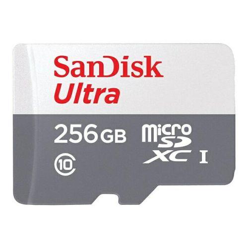 SDSQUNR-256G-GN3MN [256GB]