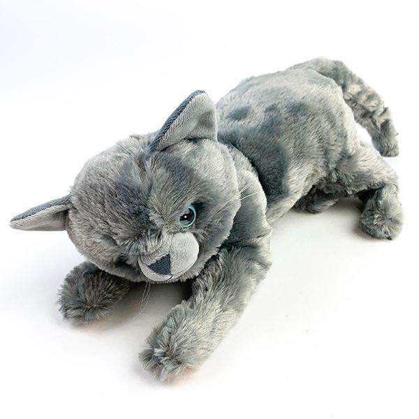 テディベア猫ちゃん 172961132.jpg?cmsp_timestamp=