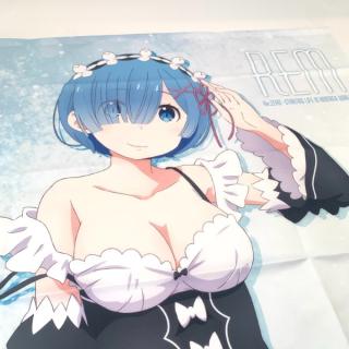 Re:ゼロから始める異世界生活　レム　タペストリー Re:ゼロから始める異世界生活]描き下ろしB2タペストリー（レム
