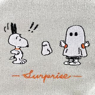 アメキャラ♡スヌーピーおすそ分けファイル＆スタバ サンリオおすそ分けファイル♡限定日焼けキティ夏バージョンレア