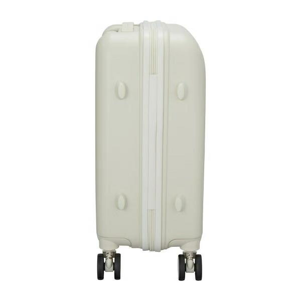 ミッフィー miffy 70th ナインチェ ジッパータイプ スーツケース(S) アイボリー キャリーケース 商品画像8：キャラグッズPERFECT WORLD TOKYO