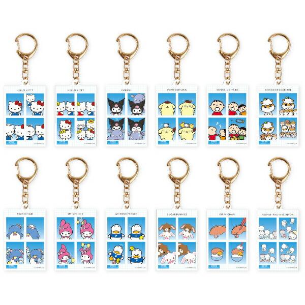 サンリオキャラクターズ トレーディング証明写真風キーホルダー(vol.1) BOXセット Sanrio 商品画像2：キャラグッズPERFECT WORLD TOKYO