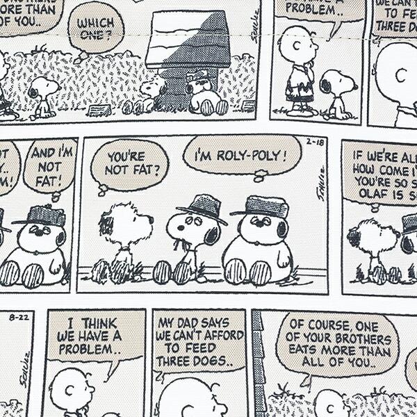 スヌーピー ブラザーズコミック 保冷保温ミニトートバッグ ランチ SNOOPY 商品画像2：キャラグッズPERFECT WORLD TOKYO