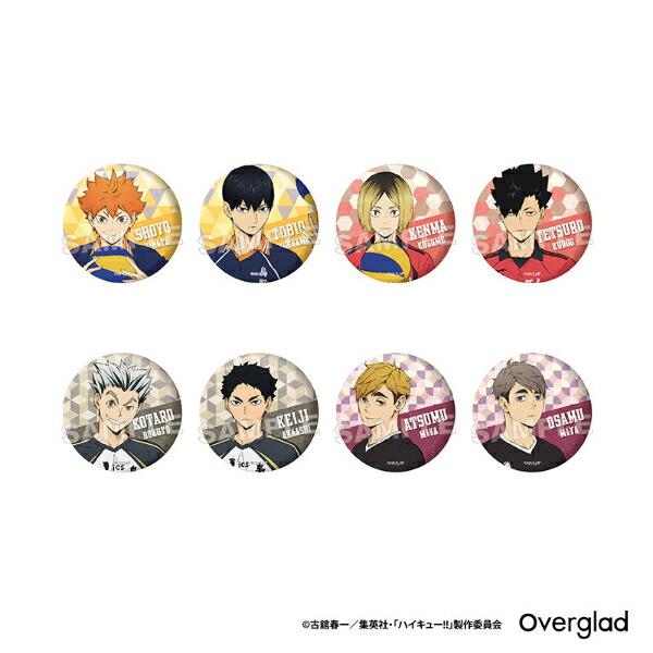ハイキュー！！ トレーディンググリッター缶バッジ パターンアート 全8種 コ･･･