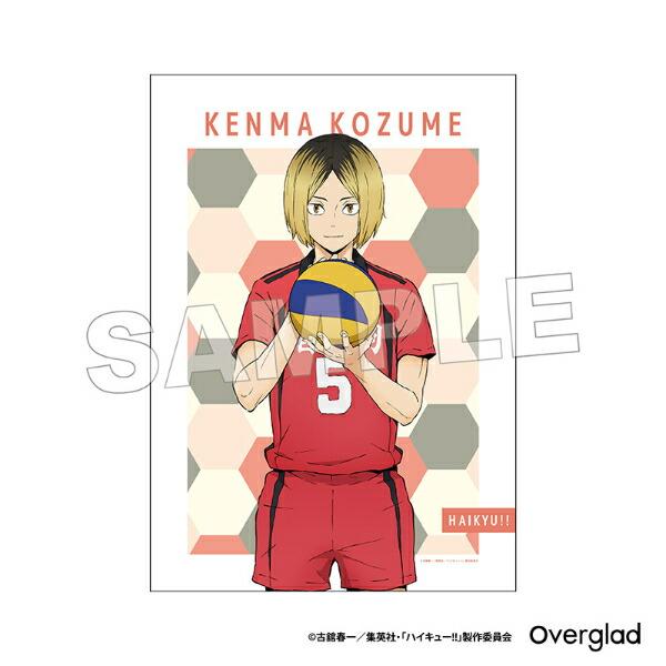ハイキュー！！ 狐爪研磨 布ポスターパターンアート