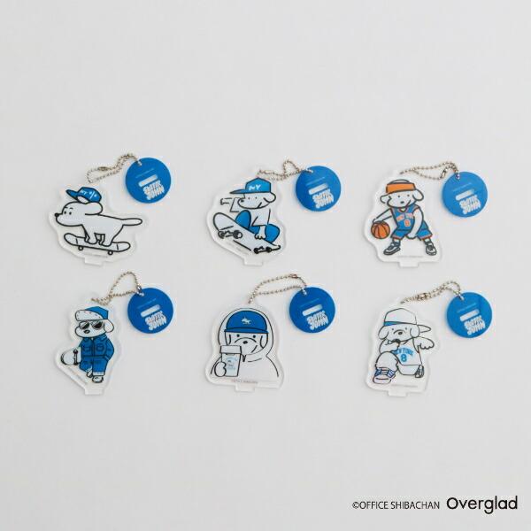 SKATER JON (スケータージョン) トレーディングミニアクスタ 全6種 コンプリートBOX 商品画像8：キャラグッズPERFECT WORLD TOKYO