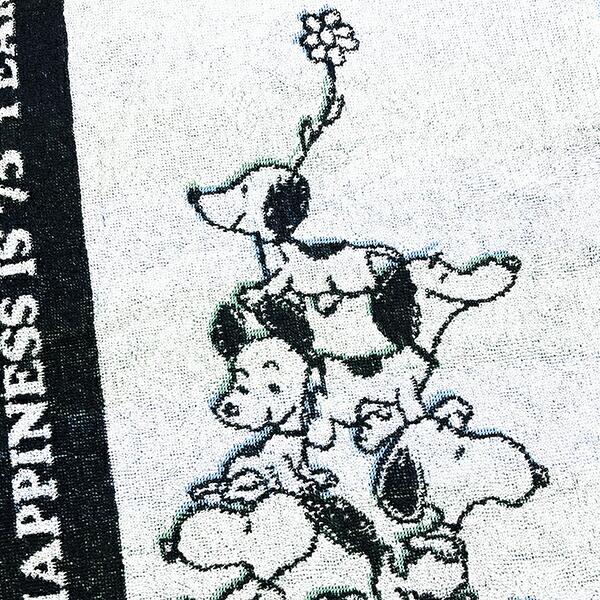スヌーピー ジャガード フェイスタオル PEANUTS 75th 日本製 SNOOPY 商品画像2：キャラグッズPERFECT WORLD TOKYO
