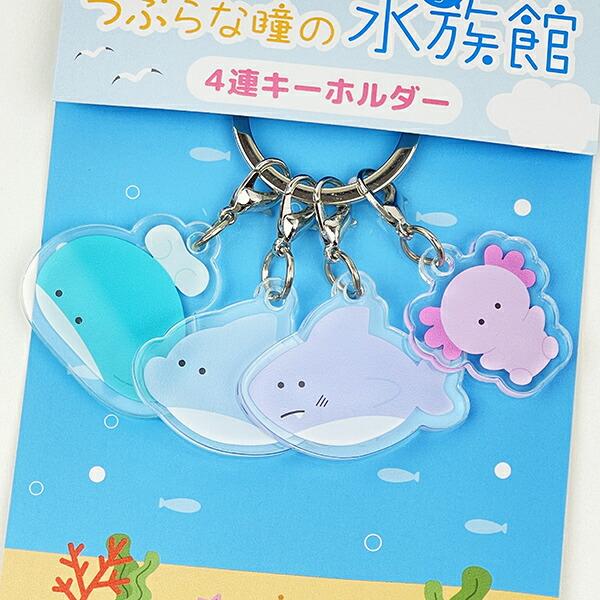 つぶらな瞳 つぶらな瞳の水族館 4連キーホルダー 商品画像2：キャラグッズPERFECT WORLD TOKYO