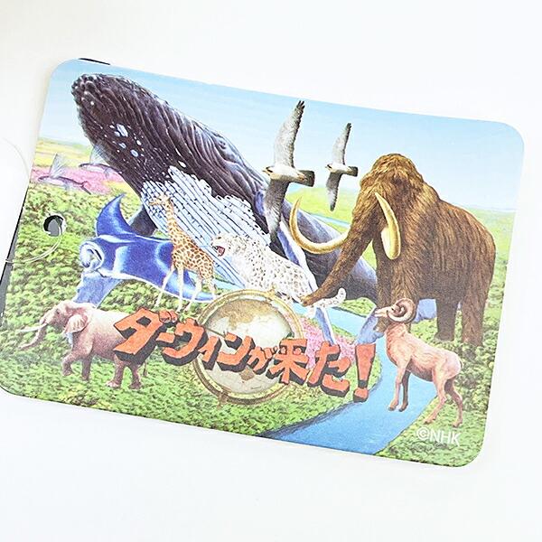 ダーウィンが来た！ ヒゲじい マスコット ぬいぐるみ NHK 商品画像5：キャラグッズPERFECT WORLD TOKYO