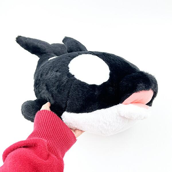 海中散歩 シャチ もちだっこ クッション ぬいぐるみ 商品画像4：キャラグッズPERFECT WORLD TOKYO