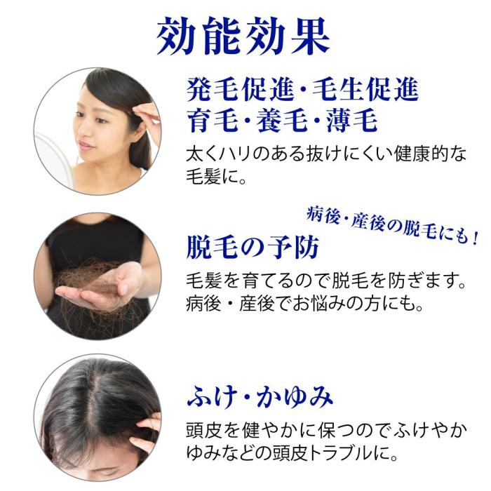 h-155102 メイコー化粧品 薬用ヘアーエッセンスW 発毛促進剤 男女兼用 150ml 医薬部外品 日本製 商品画像5：セイカオンラインショップ