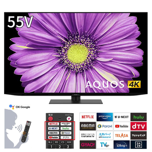 4T-C55DQ2 シャープ 有機ELテレビ 55インチ AQUOS OLED 商品画像13：セイカオンラインショップ