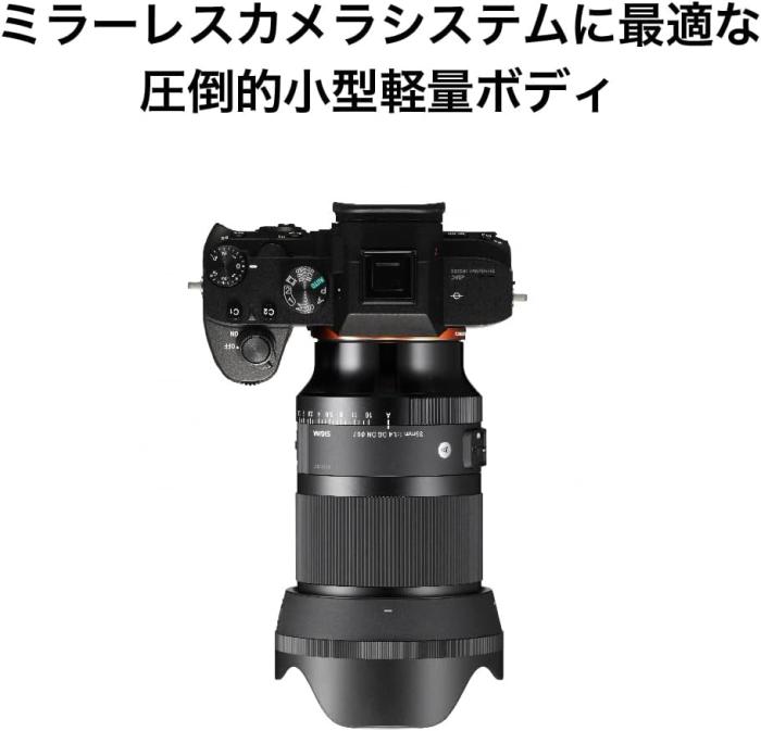 35mm F1.4 DG DN [ソニーE用] 商品画像8：沙羅の木 plus