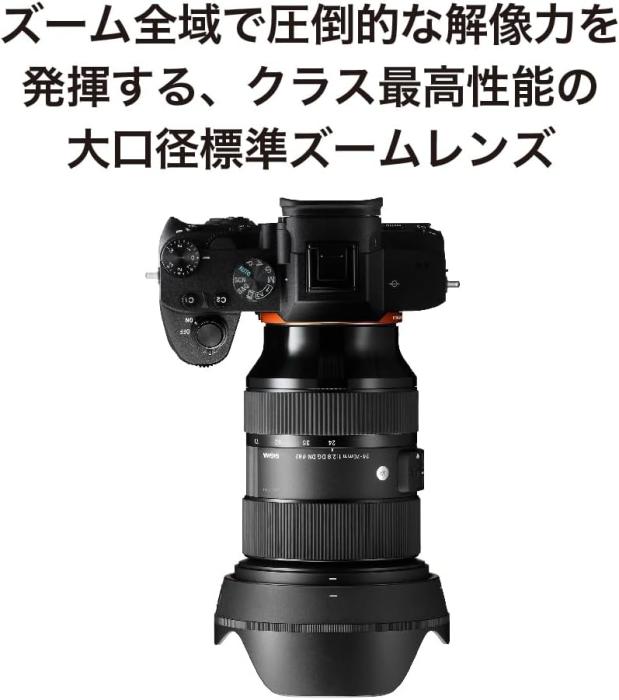 24-70mm F2.8 DG DN [ソニーE用] 商品画像8：沙羅の木 plus