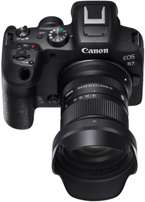 18-50mm F2.8 DC DN [キヤノンRF用] 商品画像5：沙羅の木 plus