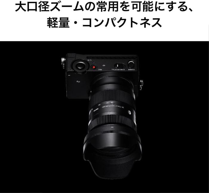 28-70mm F2.8 DG DN [ライカL用] 商品画像10：沙羅の木 plus