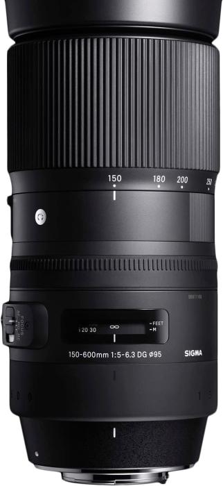 150-600mm F5-6.3 DG OS HSM Contemporary [ニコン用] 商品画像2：沙羅の木 plus
