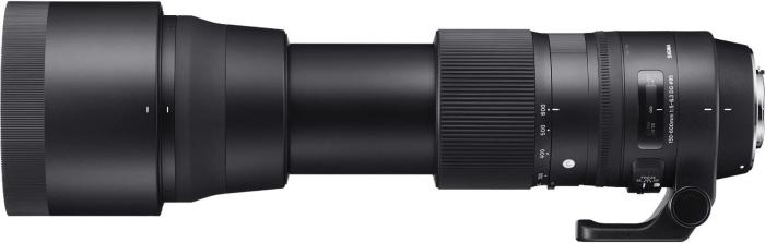 150-600mm F5-6.3 DG OS HSM Contemporary [ニコン用] 商品画像3：沙羅の木 plus