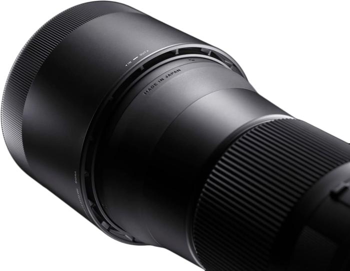 150-600mm F5-6.3 DG OS HSM Contemporary [ニコン用] 商品画像4：沙羅の木 plus