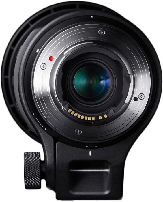 150-600mm F5-6.3 DG OS HSM Contemporary [ニコン用] 商品画像5：沙羅の木 plus