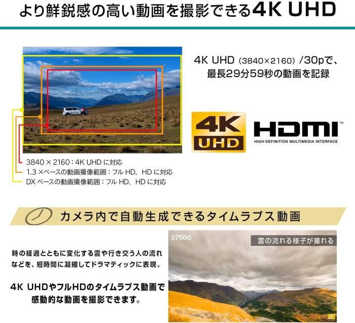 D7500 18-140 VR レンズキット 商品画像12：沙羅の木 plus