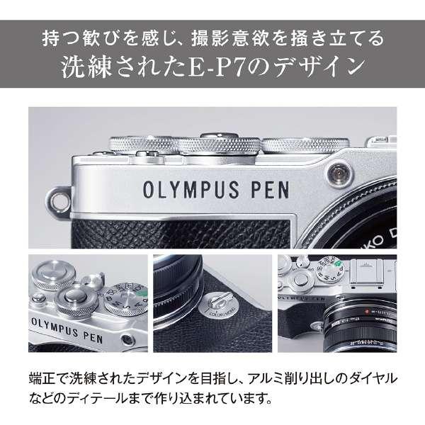 OLYMPUS PEN E-P7 EZダブルズームキット [シルバー] 商品画像3：沙羅の木 plus