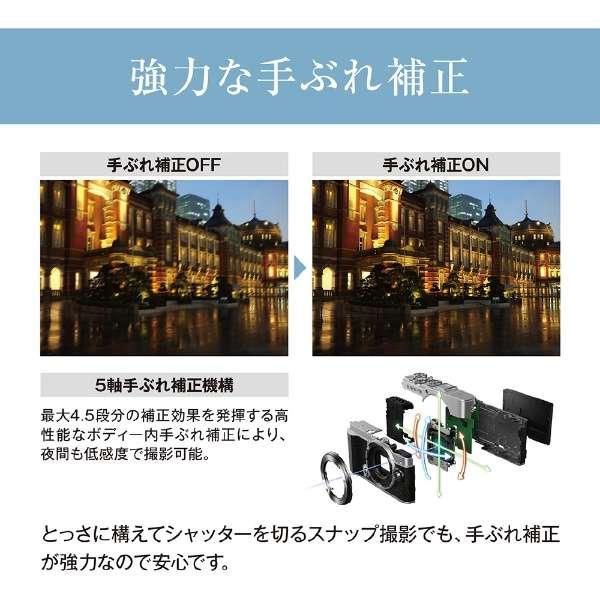 OLYMPUS PEN E-P7 EZダブルズームキット [シルバー] 商品画像12：沙羅の木 plus