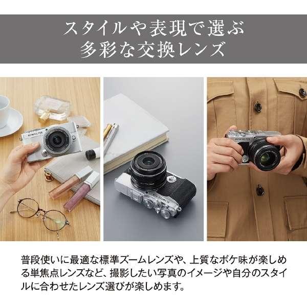 OLYMPUS PEN E-P7 EZダブルズームキット [シルバー] 商品画像4：沙羅の木 plus