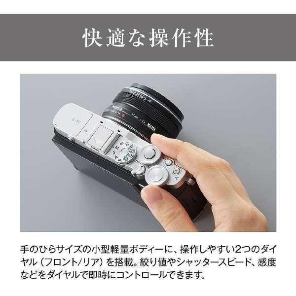 OLYMPUS PEN E-P7 EZダブルズームキット [シルバー] 商品画像6：沙羅の木 plus