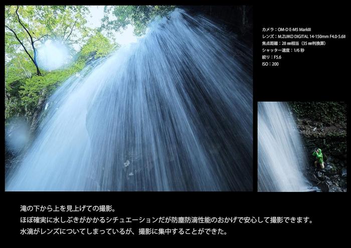 OM-D E-M5 Mark III 14-150mm II レンズキット [シルバー] 商品画像4：沙羅の木 plus