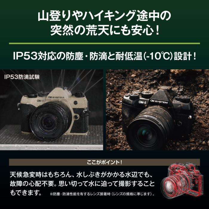 OM SYSTEM OM-5 Mark II 12-45mm F4.0 PRO レンズキット [ブラック] 商品画像11：沙羅の木 plus
