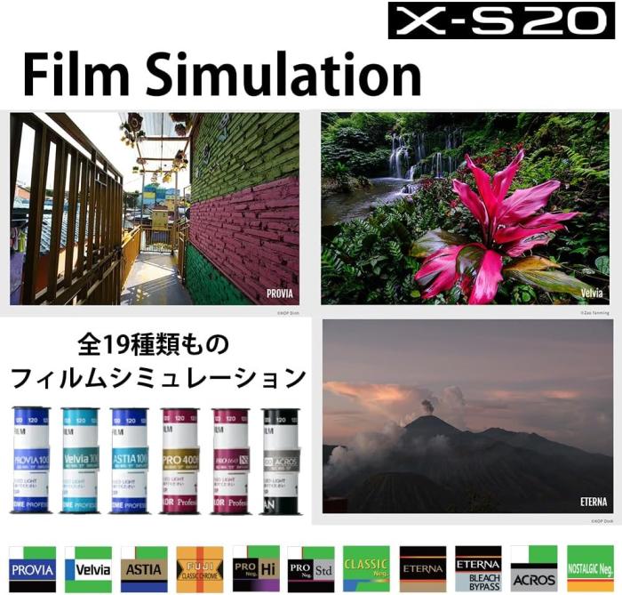 FUJIFILM X-S20 ボディ 商品画像6：沙羅の木 plus