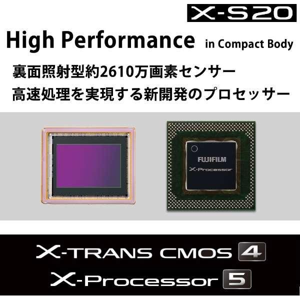 FUJIFILM X-S20 XC15-45mmレンズキット 商品画像4：沙羅の木 plus