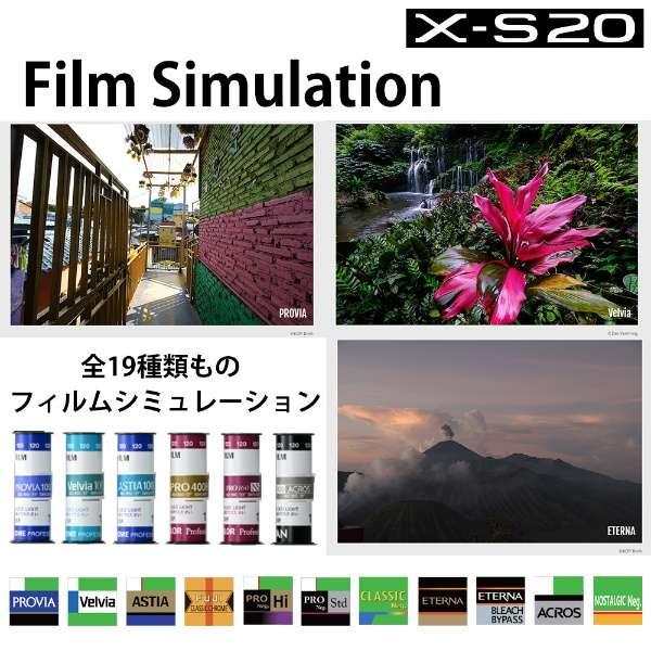 FUJIFILM X-S20 XC15-45mmレンズキット 商品画像5：沙羅の木 plus