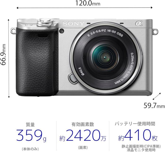 α6400 ILCE-6400L パワーズームレンズキット [シルバー] 商品画像3：沙羅の木 plus