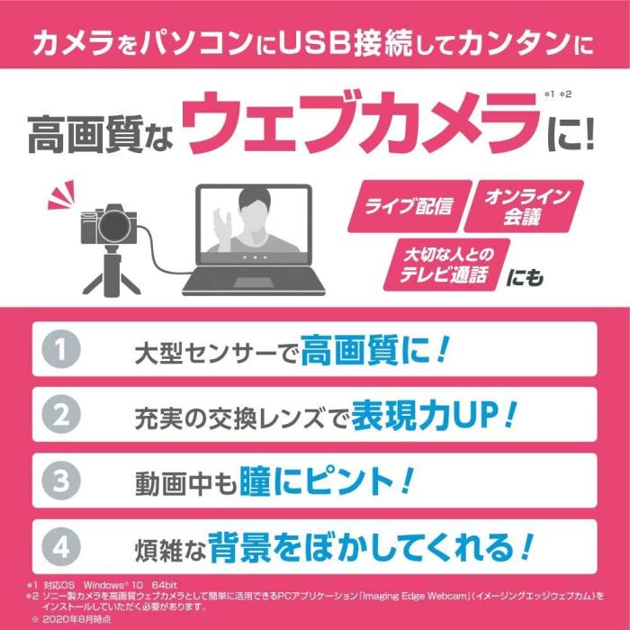 α6600 ILCE-6600M 高倍率ズームレンズキット 商品画像7：沙羅の木 plus