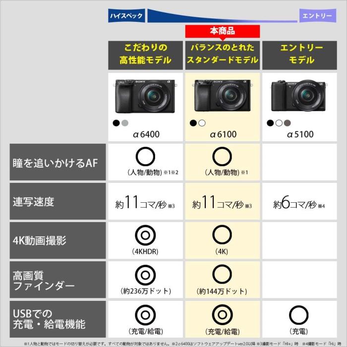 α6100 ILCE-6100Y ダブルズームレンズキット [ホワイト] 商品画像3：沙羅の木 plus